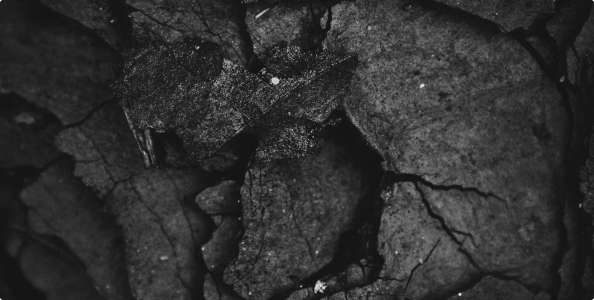 About Us image 2